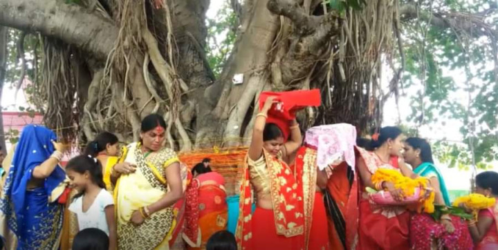 भोलि विहिवार मिथिलाञ्चलमा वटसावित्री पर्व मनाइँदै