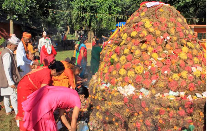 मिथिलामा गोबर र केराउ कुट्ने पर्व मनाइँदै
