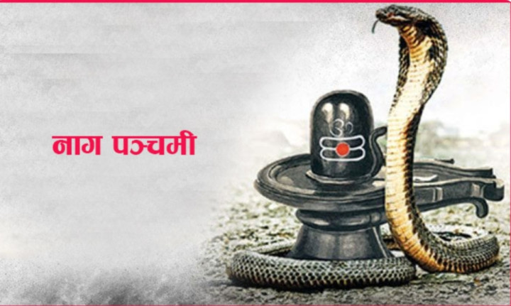 आज नाग पञ्चमी : देशैभर नागको पूजा गरेर मनाईँदै