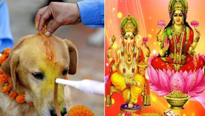 यमपञ्चकको दोस्रो दिन : कुकुर तिहार र लक्ष्मी पूजा एकैदिन किन ?
