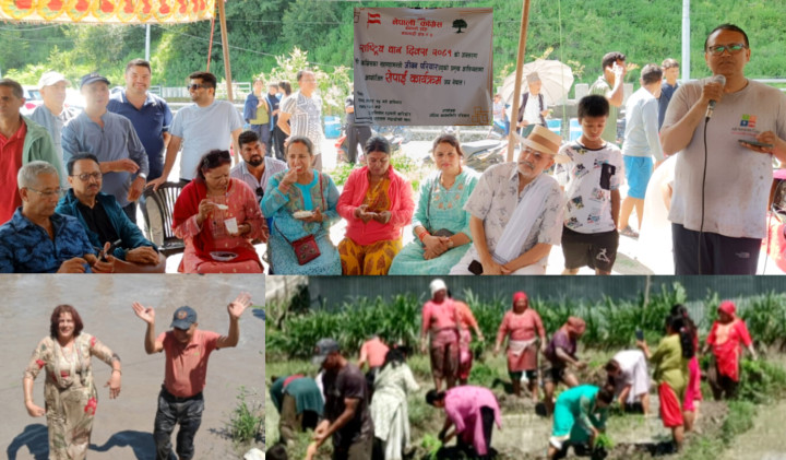 नेपाली काङ्ग्रेस काठमाडौं- ४ ले धान रोपेर धान दिवस मनायो