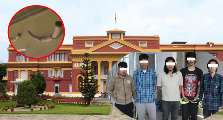 राष्ट्रपति कार्यालयबाट दुई थान हात्तीका दाह्रा चोरी, काटेर भागबन्डा लगाउने ६ जना पक्राउ
